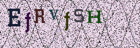 Visual Confirmation Security Code