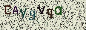 Visual Confirmation Security Code