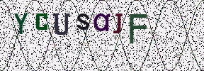 Visual Confirmation Security Code