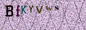 Visual Confirmation Security Code