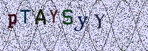 Visual Confirmation Security Code