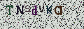Visual Confirmation Security Code