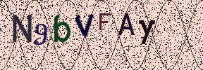 Visual Confirmation Security Code