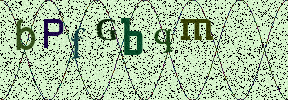 Visual Confirmation Security Code
