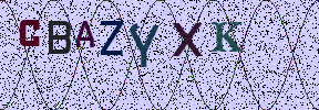 Visual Confirmation Security Code