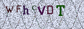Visual Confirmation Security Code