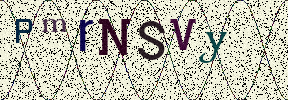 Visual Confirmation Security Code
