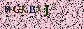 Visual Confirmation Security Code