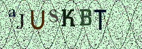 Visual Confirmation Security Code