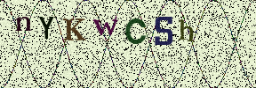 Visual Confirmation Security Code