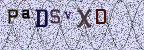 Visual Confirmation Security Code