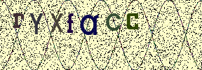 Visual Confirmation Security Code