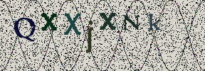 Visual Confirmation Security Code