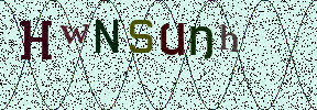 Visual Confirmation Security Code