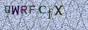 Visual Confirmation Security Code