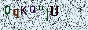 Visual Confirmation Security Code