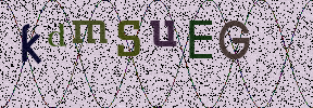 Visual Confirmation Security Code