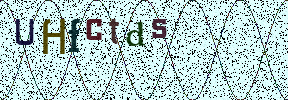 Visual Confirmation Security Code