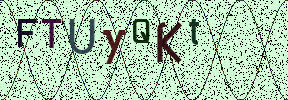 Visual Confirmation Security Code