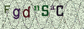 Visual Confirmation Security Code
