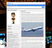 AAA 1000 Aviator, Pilots Online Community