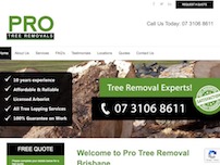 Pro Tree Removal Brisbane