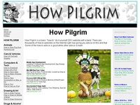 AAA 19541 How Pilgrim