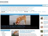 AAA 6202 Dog Behavior And Training
