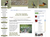 AAA 7445 Attract Wild Birds for Backyard Birding