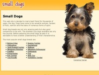Dog breeders - Small Dog .net