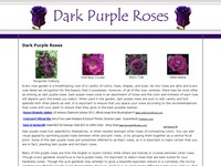 AAA 8336 Dark Purple Roses