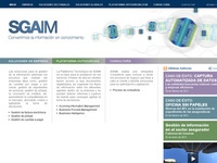 AAA 9197 SGAIM Mexico: ECM consulting