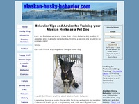 Alaskan Husky Behavior